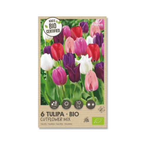 biologische tulpenbollen