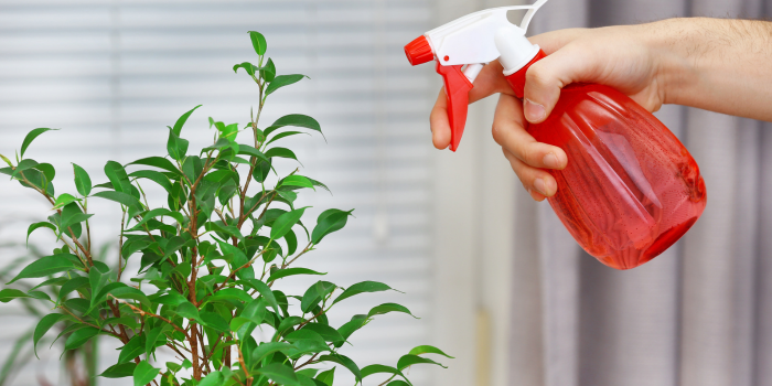 zeepmengsel in plantenspuit