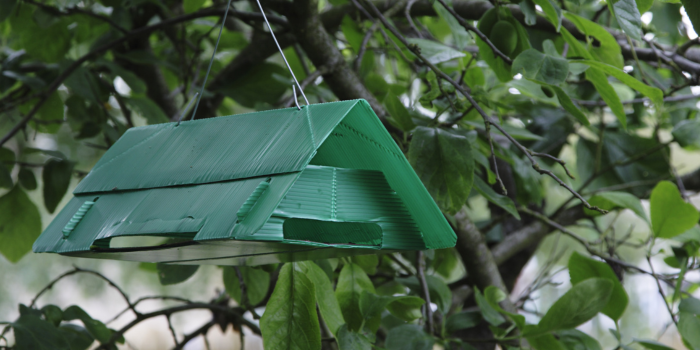 deltaval voor fruitmotten