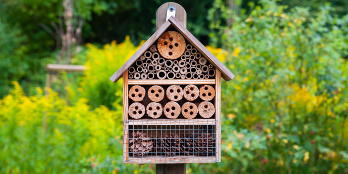 Insectenhotel op paal