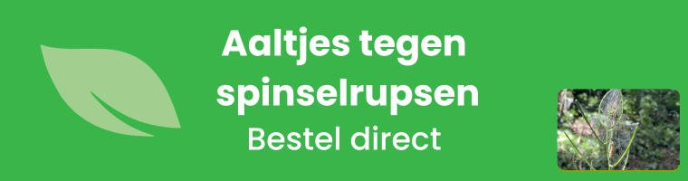 Aaltjes tegen spinselrupsen - Bestel direct